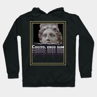 cogito, ergo sum urban style, aesthetic art. Hoodie